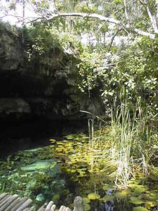 Gran Cenote Tulum