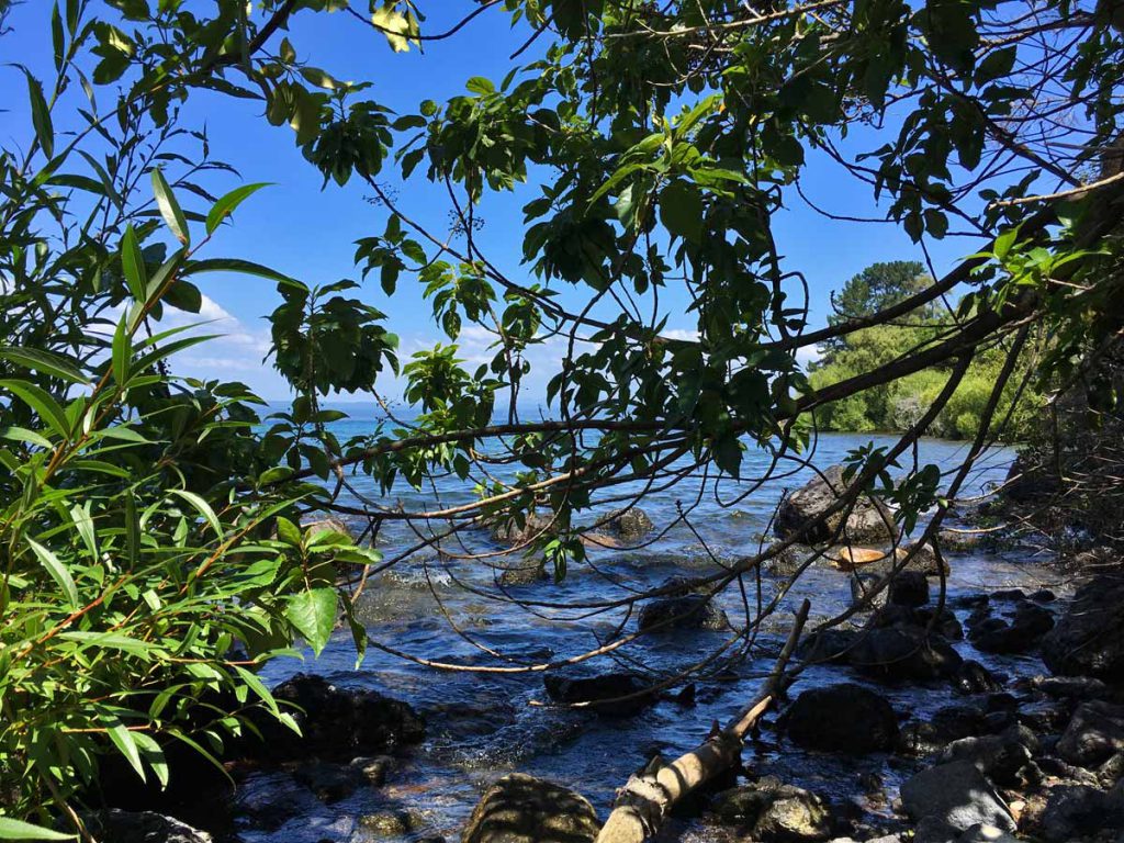 Rangatira Beach View Taupo