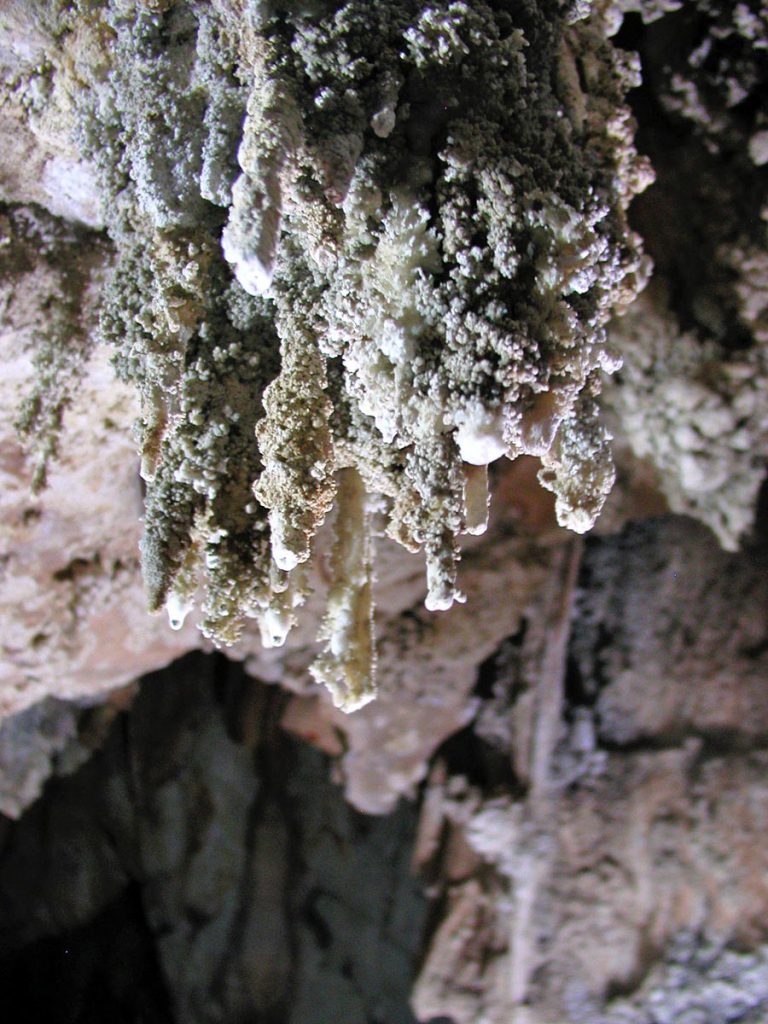 Khao Sok Stalactite Cave