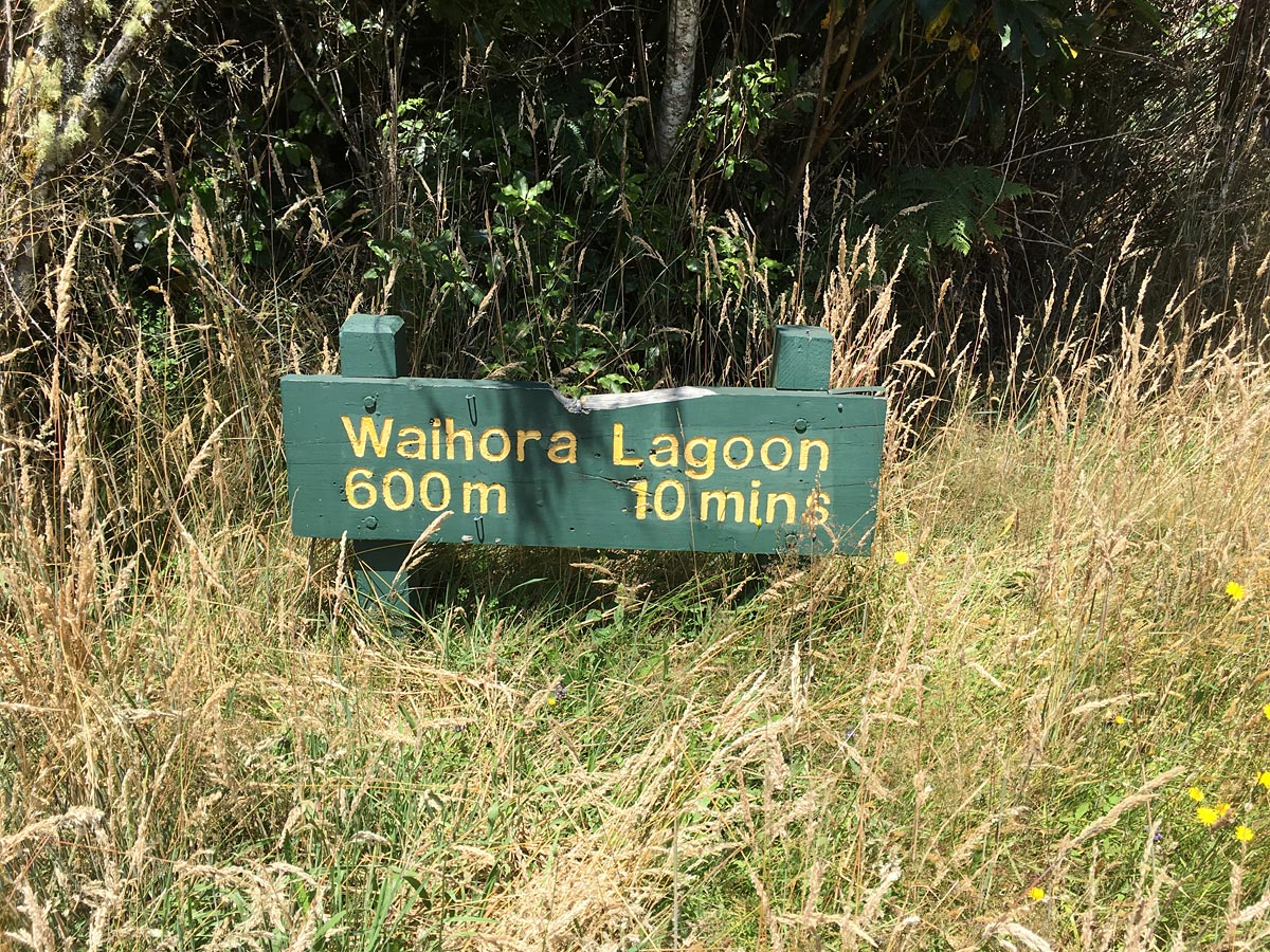 Waihora Lagoon Pureora Forest New Zealand