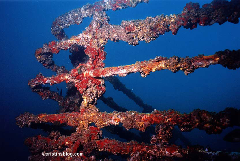 Railing King Cruiser Andaman Sea