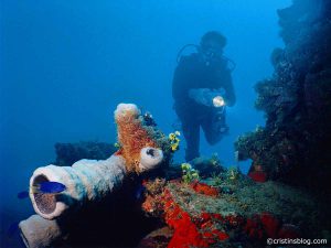 Chuuk Kensho Maru Corals