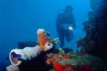 Chuuk Kensho Maru Corals